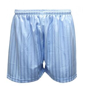 Carta Sport Unisex Adult Seriea Shorts / Sky Blue